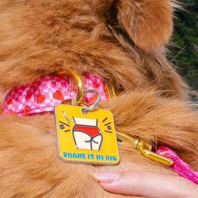 Collier pour chien imprimé à carreaux roses et coeurs rouges Sans laisse Sa
