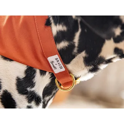 French Bandit - Bandana pour chien en suédine orange