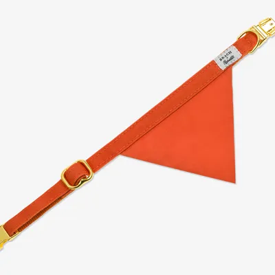 French Bandit - Bandana pour chien en suédine orange