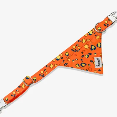 French Bandit - Bandana pour chien léopard néon