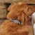 French Bandit - Collier pour chien, collection 'Grand Froid'