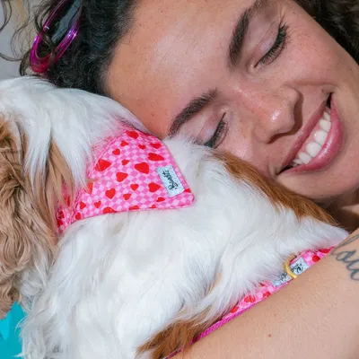 Bandana pour chien imprimé à carreaux roses et coeurs rouges Sans laisse Sa Bandana pour chien imprimé à carreaux roses et coeurs rouges Sans laisse Sa