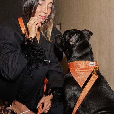 French Bandit - Bandana pour chien à paillettes orange