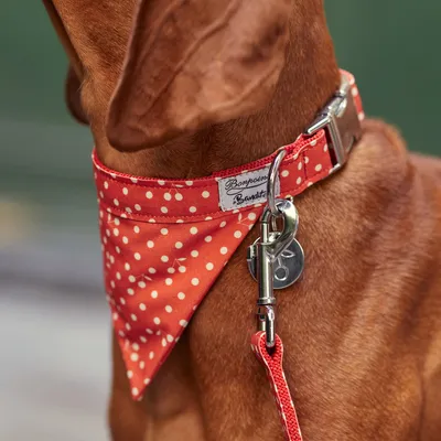 French Bandit - Bandana pour chien, rouge à pois