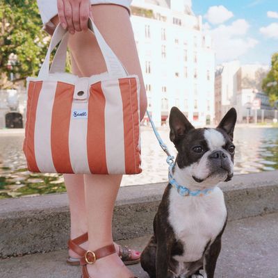 French Bandit - Panier d'appoint pour chien
