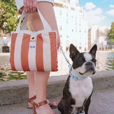 French Bandit - Panier d'appoint pour chien