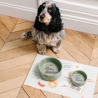 French Bandit - Gamelle verte pour chien et chat