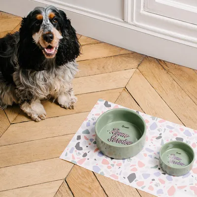 French Bandit - Gamelle verte pour chien et chat