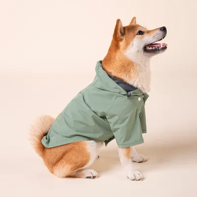 French Bandit - Imperméable pour chien