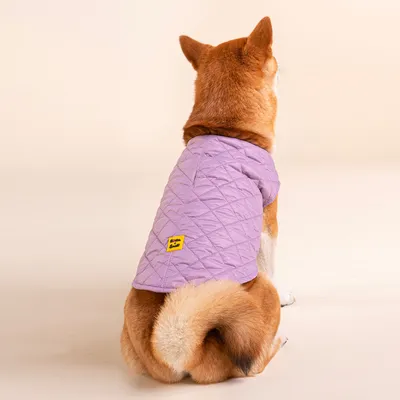 French Bandit - Doudoune pour chien