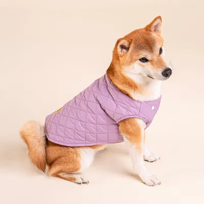 French Bandit - Imperméable pour chien