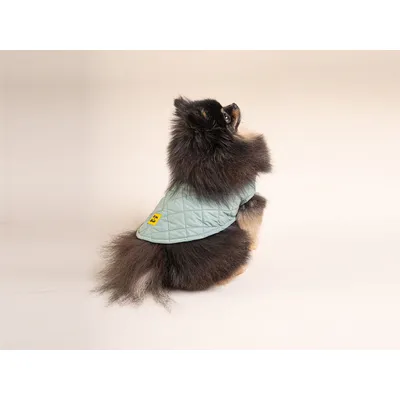 French Bandit - Doudoune pour chien