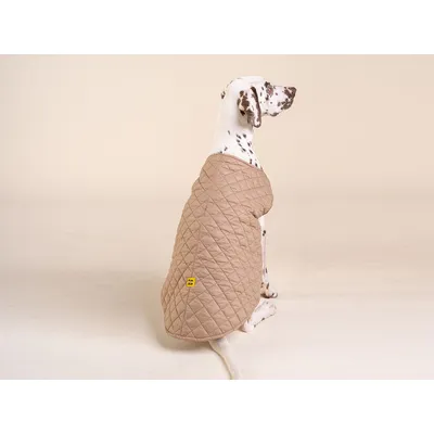 French Bandit - Doudoune pour chien