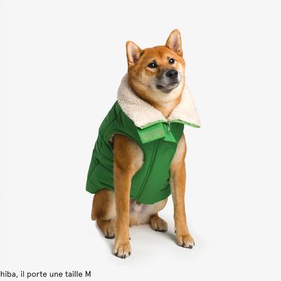 French Bandit - Doudoune épaisse, pour chien