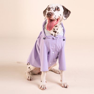 French Bandit - Doudoune pour chien