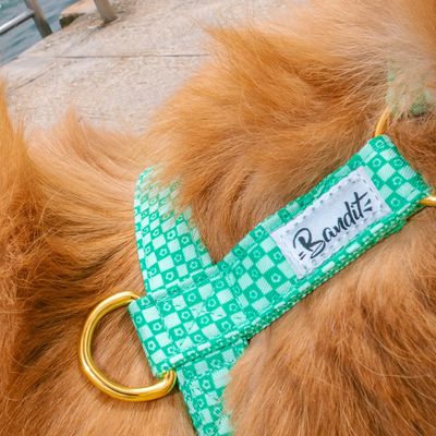 French Bandit - Harnais pour chien imprimé à carreaux verts orné de fleurs