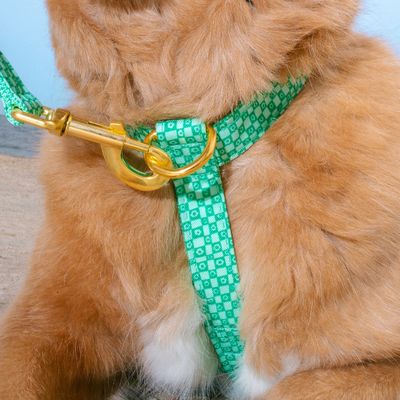 French Bandit - Harnais pour chien imprimé à carreaux verts orné de fleurs