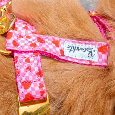 Harnais pour chien imprimé à carreaux roses et coeurs rouges Sans laisse Sa
