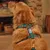 French Bandit - Harnais pour chien, collection 'Grand Froid' French Bandit - Harnais pour chien, collection 'Grand Froid'