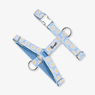 French Bandit - Harnais pour chien motif marguerites