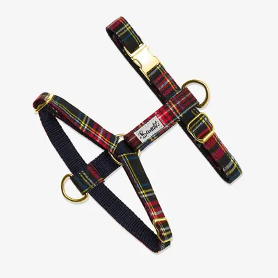 French Bandit - Harnais pour chien tartan