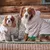 French Bandit - Hoodie en sherpa tout doux, pour chien French Bandit - Hoodie en sherpa tout doux, pour chien