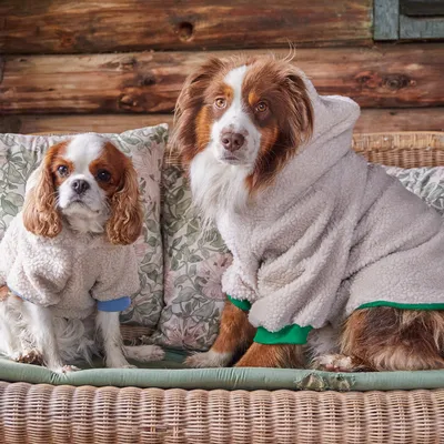 French Bandit - Hoodie en sherpa tout doux, pour chien French Bandit - Hoodie en sherpa tout doux, pour chien