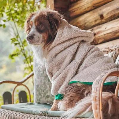 French Bandit - Hoodie en sherpa tout doux, pour chien French Bandit - Hoodie en sherpa tout doux, pour chien