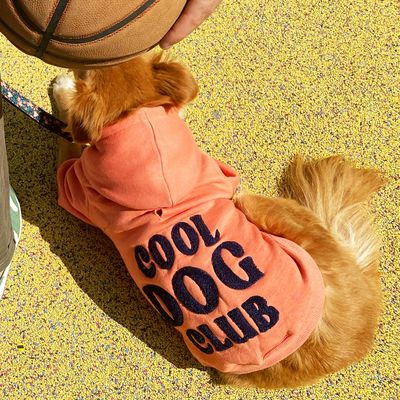 French Bandit - Hoodies à capuche pour chien