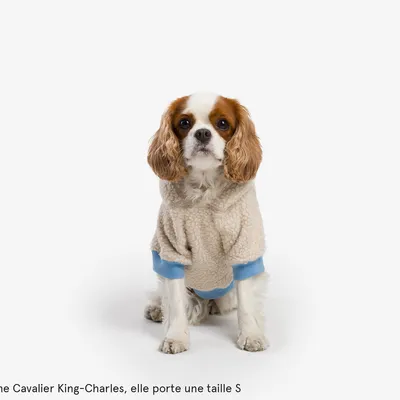 French Bandit - Hoodie en sherpa tout doux, pour chien French Bandit - Hoodie en sherpa tout doux, pour chien