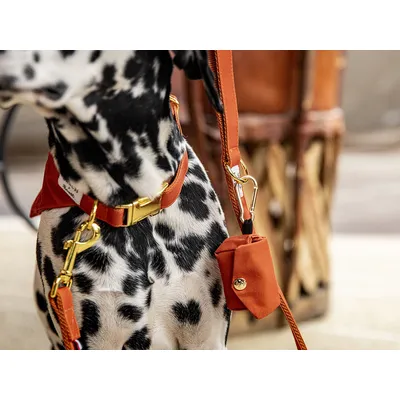 French Bandit - Pochette pour sacs à crottes en suédine orange