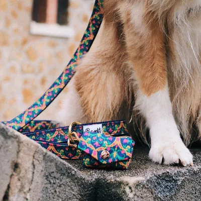 French Bandit - Pochette pour sacs à crottes multicolore