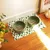 French Bandit - Tapis de gamelle cactus chien et chat