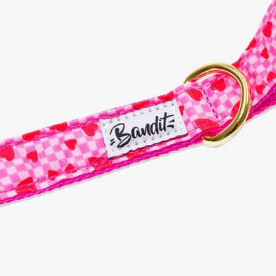 Laisse pour chien imprimé à carreaux roses et coeurs rouges. - French Bandi