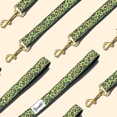 French Bandit - Laisse pour chien motif léopard French Bandit - Laisse pour chien motif léopard