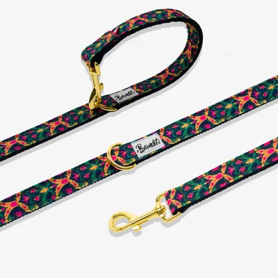 French Bandit - Laisse pour chien motif multicolore