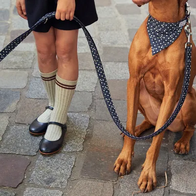 French Bandit - Laisse pour chien, bleu marine