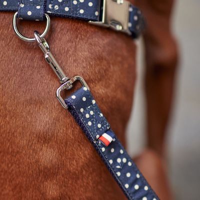 French Bandit - Laisse pour chien, bleu marine