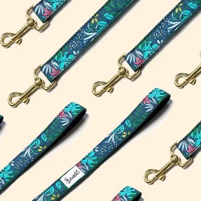 French Bandit - Laisse pour chien motif léopard