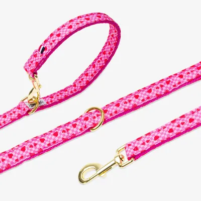 Laisse pour chien imprimé à carreaux roses et coeurs rouges. - French Bandi Laisse pour chien imprimé à carreaux roses et coeurs rouges. - French Bandi
