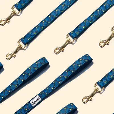 French Bandit - Laisse pour chien verte French Bandit - Laisse pour chien verte