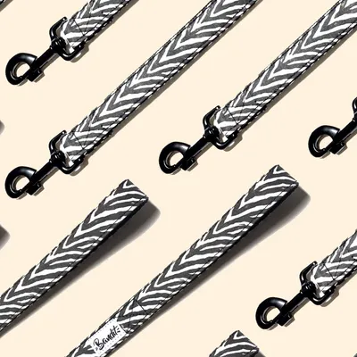 French Bandit - Laisse pour chien motif zèbre French Bandit - Laisse pour chien motif zèbre