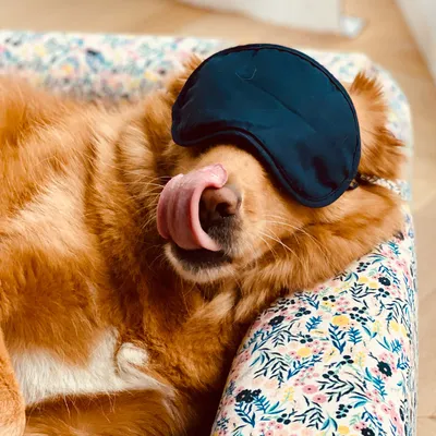 French Bandit - La housse de panier French Bandit - La housse de panier