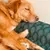 French Bandit - La housse de panier French Bandit - La housse de panier