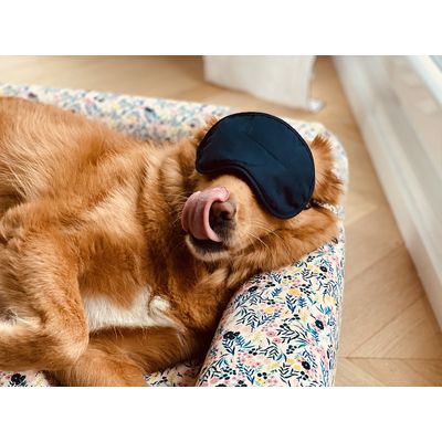 French Bandit - Le panier chien Liberty
