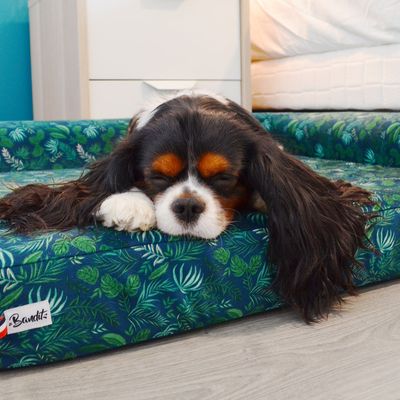 French Bandit - La housse de panier