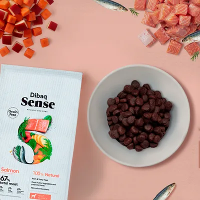 Dibaq Sense sans grain Saumon croquettes pour chien