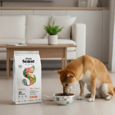 Dibaq Sense sans grain Saumon croquettes pour chien