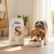Dibaq Sense sans grain poulet & canard Croquettes pour chiens