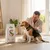 Dibaq Sense sans grain poulet & canard Croquettes pour chiens